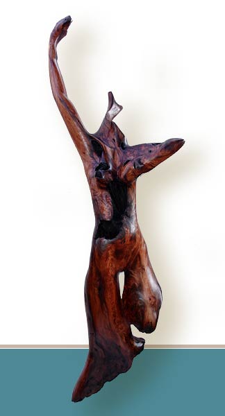 Kallisto - redwood sculpture