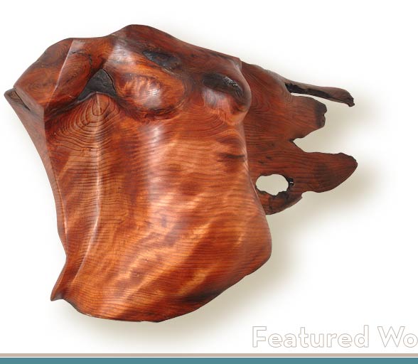 soaring - wall sculpture